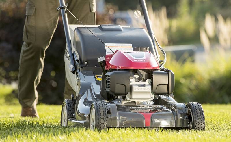 Jardinier CESU pour tonte et engazonnement de pelouse dans le Lubéron